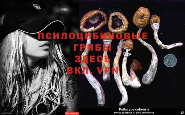 бошки Бронницы