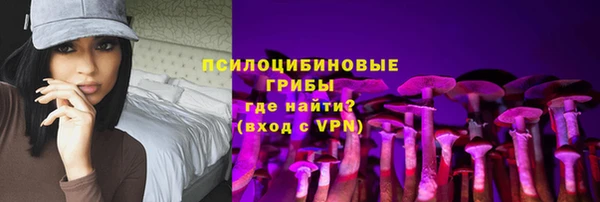 бошки Бронницы
