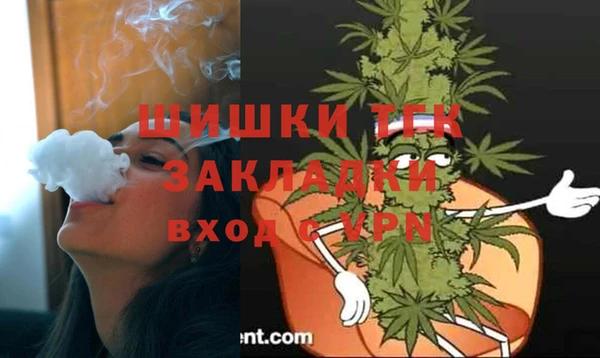 mix Бородино