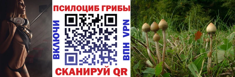 Галлюциногенные грибы ЛСД  Киржач 